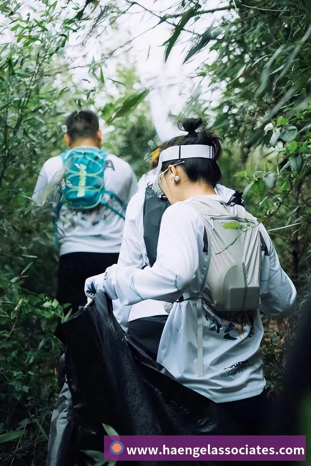 数据分析功能