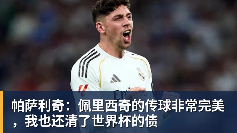 帕萨利奇：佩里西奇的传球非常完美，我也还清了世界杯的债